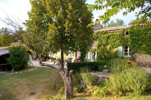 B&B / Chambres d'hotes La Pacha : photos des chambres