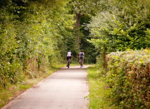 Hotel - La Grande Cure