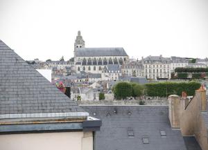 Appartements Les Terrasses de Blois : photos des chambres