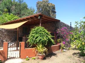 Respira by CanariApartment - Peaceful Nature Retreat