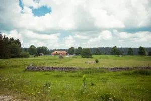 Bois-raiguel chasseral - Bellelay