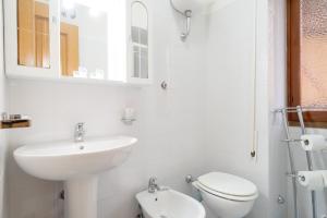 Magenta Collection Terrione 17