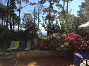 Villas Villa bord de mer Corse : photos des chambres