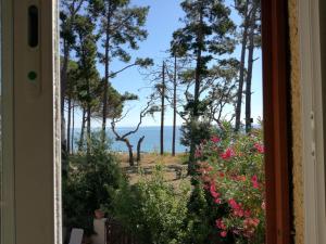 Villas Villa bord de mer Corse : photos des chambres