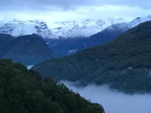 Gold Cave casa vacanze relax nel bosco appartamenti