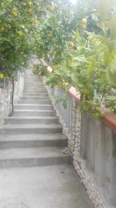 Casa con 1 dormitorio