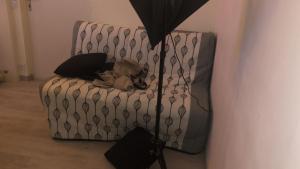 appartement lisieux calme très bien équipé