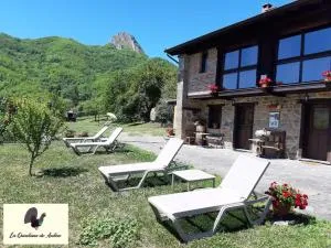 昆塔纳安通乡村民宿 - Malvedo