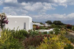 The Sand Collection Villas Paros Greece