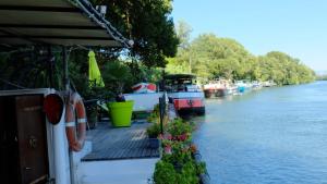 Péniche Le Hasard photo 18