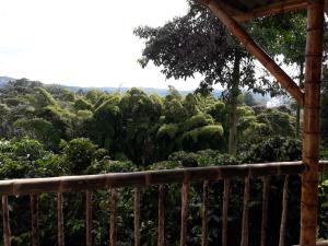 Hacienda Cafetera La Gaviota