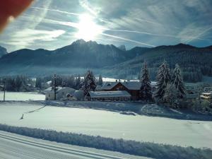 Appartments Helvetia