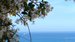Anna's Family House Lasithi Greece