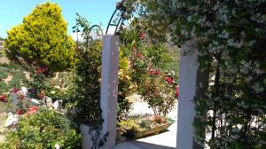 Anna's Family House Lasithi Greece