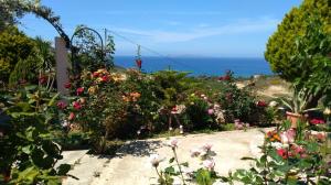 Anna's Family House Lasithi Greece