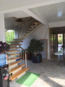 Apartments Komakhidze 68