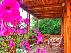 Ferienhaus Cottage Kavač Kotor Montenegro