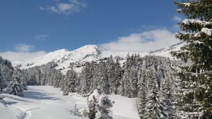 Penzion Chalet Ella Champoussin Švýcarsko