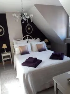 Chambre d'hote Chez Liz - 尚博尔