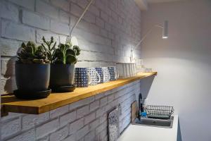 Apartamenty toruńskie pod Krzywą Wieżą