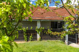 Pri konjskem pajdašu