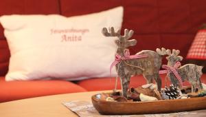 Ferienwohnungen Anita