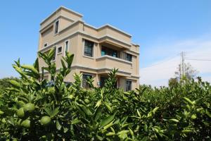 Ancient Official Road Homestay