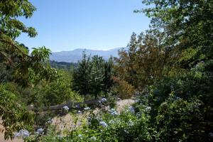 Bartinney Private Cellar Banhoek