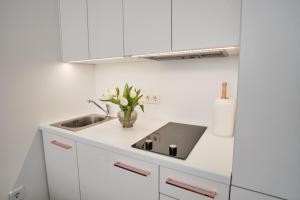 Cosy studio near Akropolis and Švyturio arena