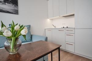 Cosy studio near Akropolis and Švyturio arena