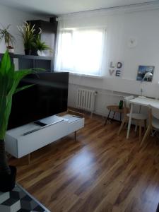 Apartament Mazowiecka 125