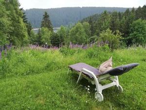 Apartmán Harz-See-Lodge Schulenberg im Oberharz Německo