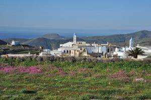 Arados Houses-Breathtaking Agean Sea view Tinos Greece