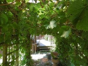 nature et repos