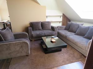 VECTOR apartments