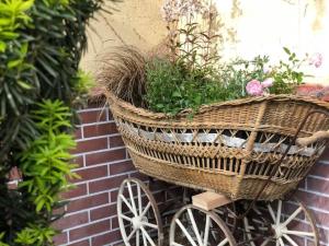 Tulipán Villa Panzió