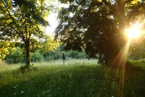 Sejours chez l'habitant Ricouch, chambre d'hotes et permaculture : photos des chambres