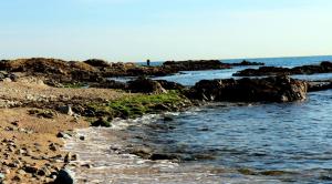 Estivel - Green Bastide photo 6