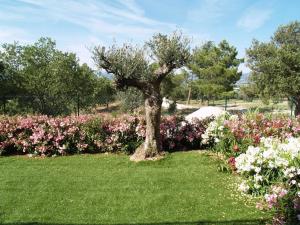 Lagrange Vacances - Green Bastide