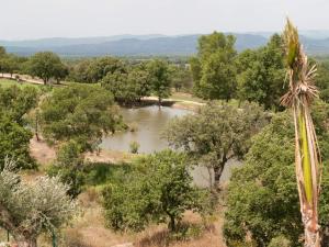 Estivel - Green Bastide photo 12