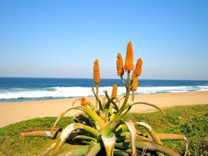 Beachhaven with Inverter & Solar