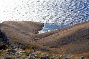 Apartments Niko Metajna, island Pag