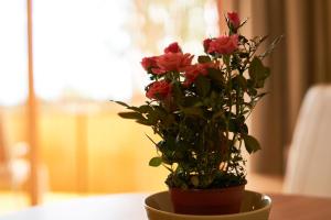 seeYOU apartment Balatonfüred