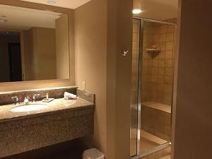Deluxe King Room room in Isle Casino Hotel Waterloo