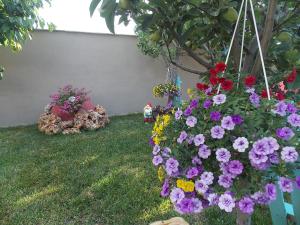 Iria's Luxury Apartments Thassos Greece