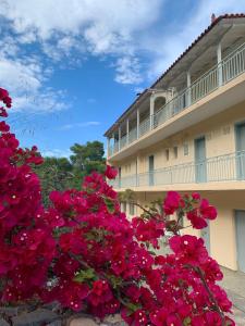 Fedra Apartments Poros-Island Greece