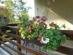 Holiday home, Apartman Obajdin