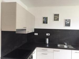 Apartman Deštné 371 - Buďte na horách jako doma Deštné v Orlických horách Csehország