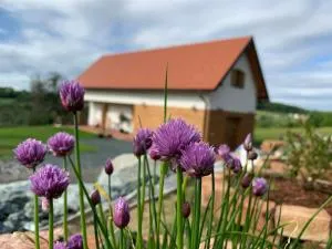 Das Weinstöckl - Sumetendorf