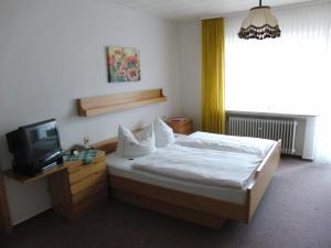 Double Room room in Hotel Olympia